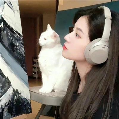 刀剑笑新传之花魁